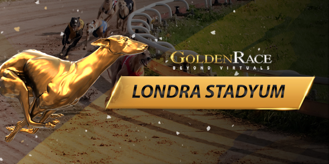 /games/goldenrace/10110.jpg